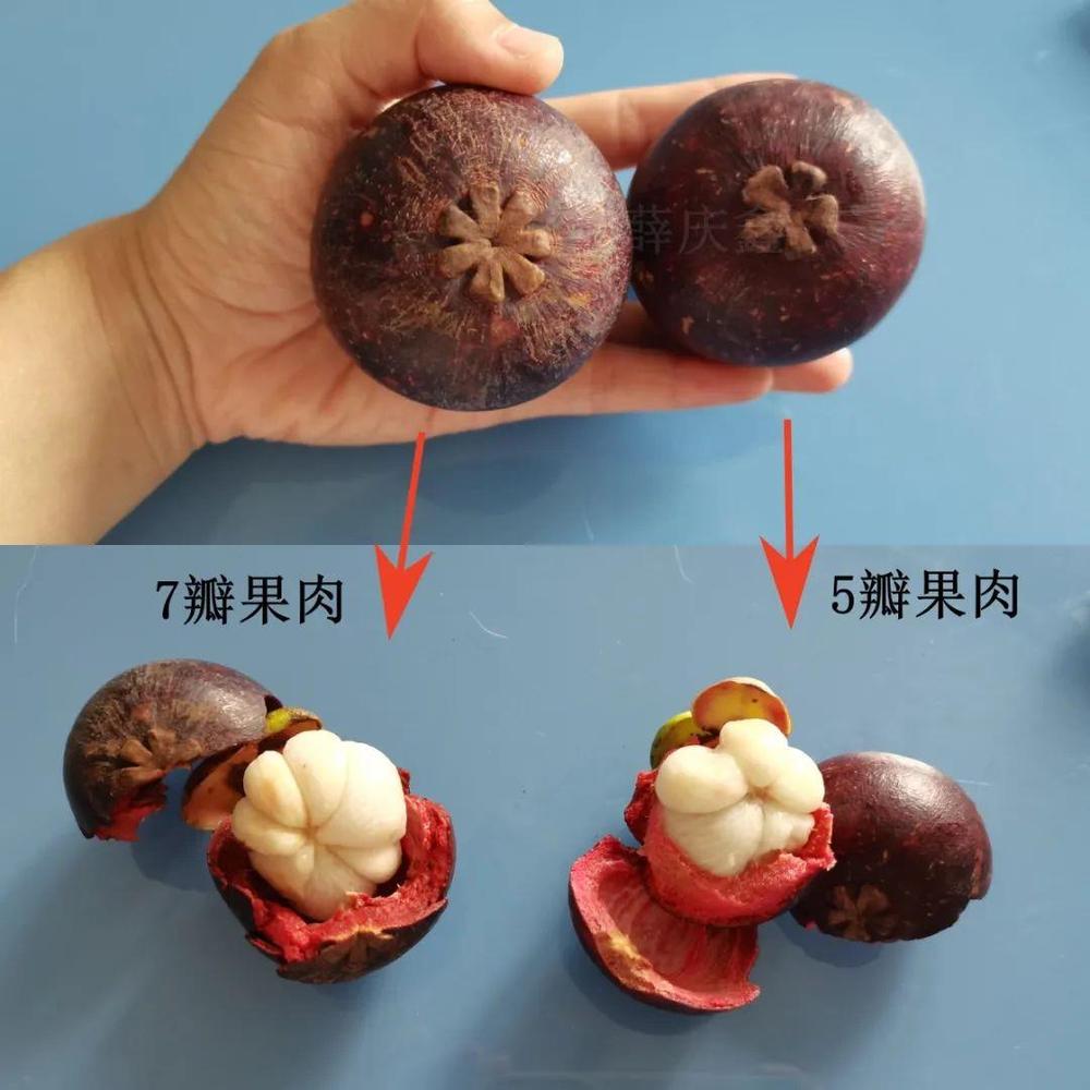 这种水果很贵虽然好吃但营养价值一般热量还很高