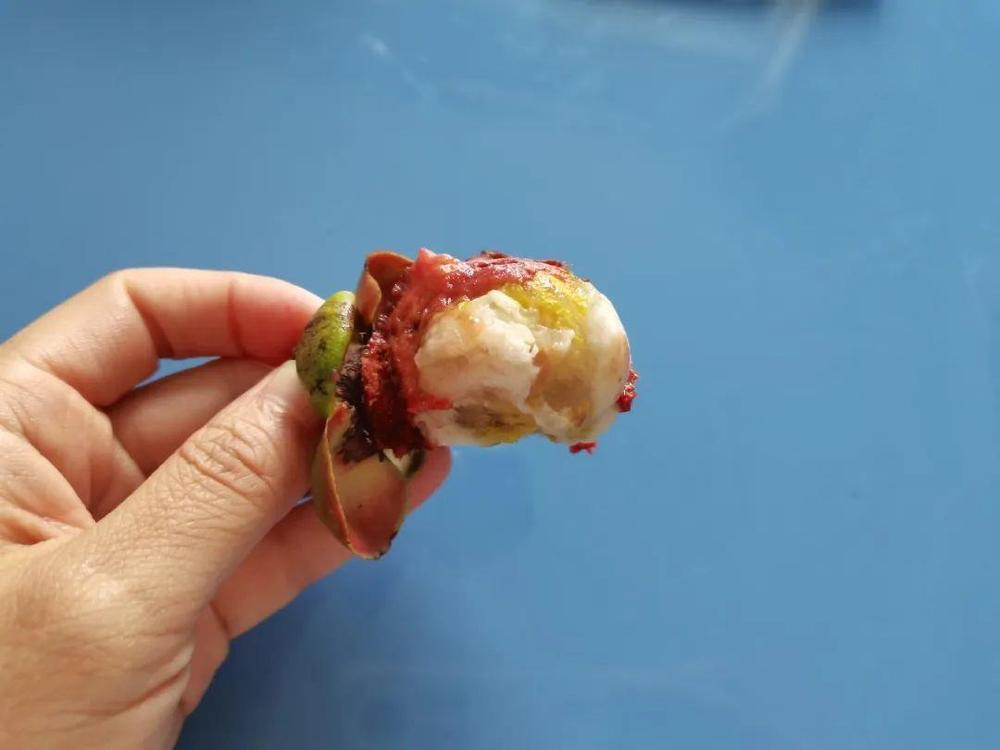 这种水果很贵虽然好吃但营养价值一般热量还很高